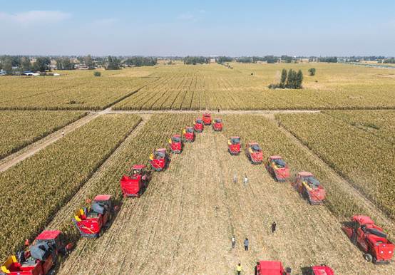 DJI_20250918105354_0081_D 拷贝