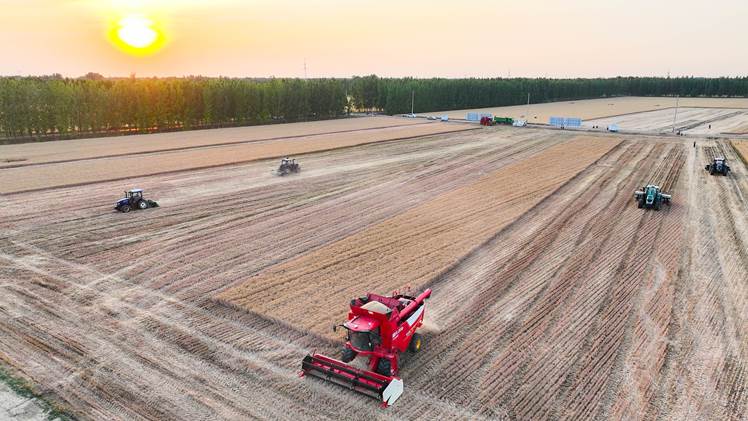 5.智慧农场里的无人三夏