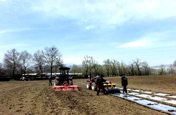 56bd30baeb19de28a9422bf46b50b76c